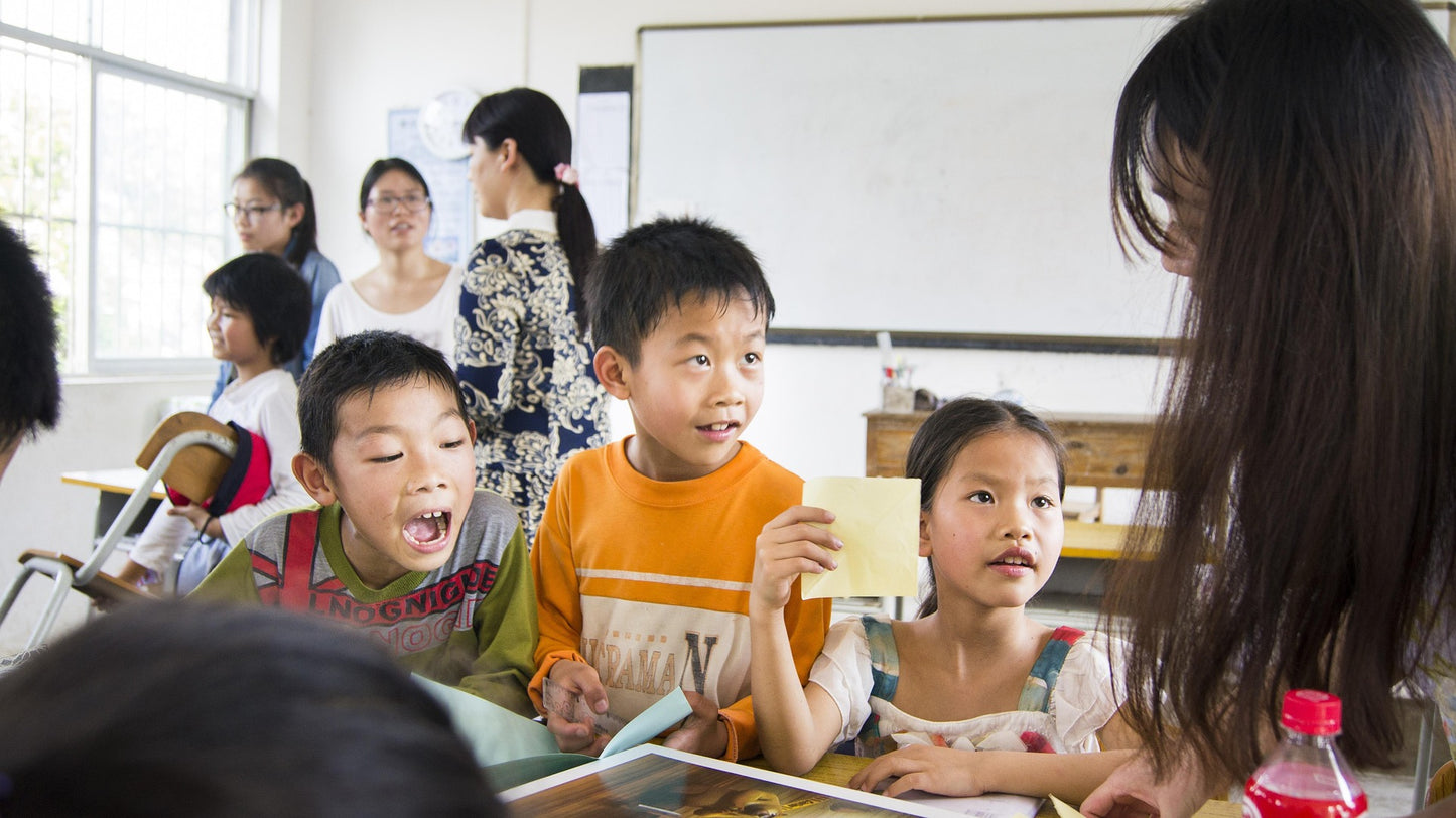 Functional Behavior Assessment (FBA)